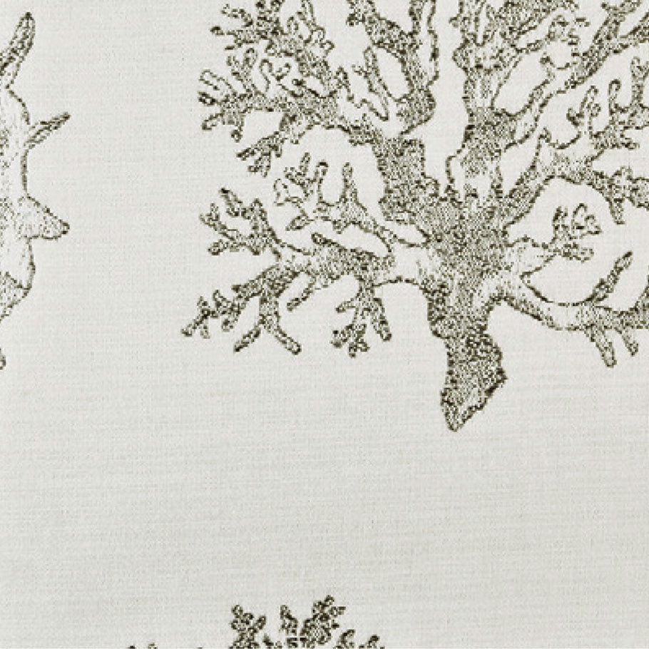 SEA FAN - JANUS et Cie