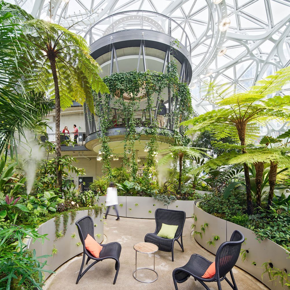 Image Slideshow Image: AmazonSpheres PhotoByBruceDamonte 05