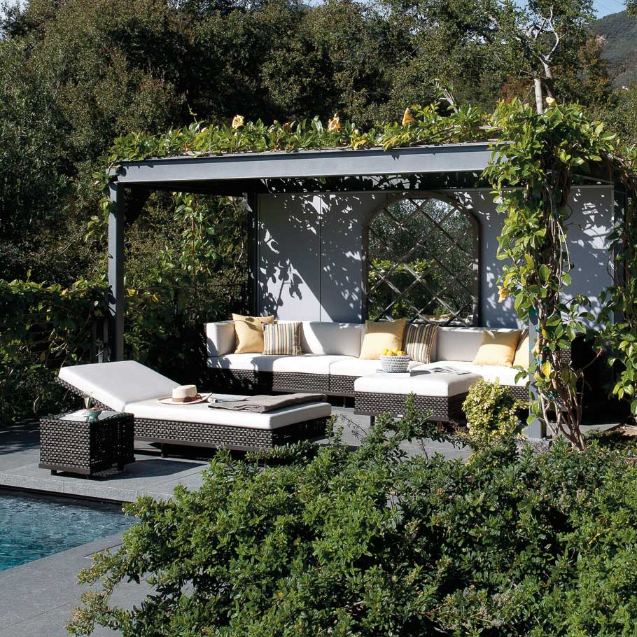 Boxwood janus et cie