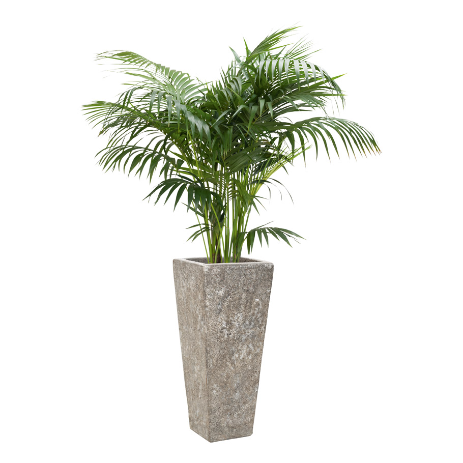 Krater Planter Chamfered Tall